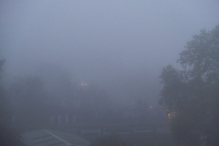 Makes me sing "The road is so foggy foggy", Oct 2024