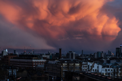 Apocalyptic view after the rain, February 2025