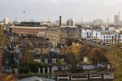 Late autumn view and flying bird, 23 November 2022