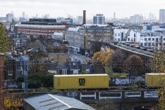 Yellow November view, 2022
