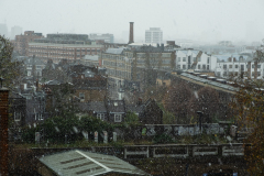 Sudden snow, November 2025