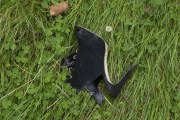 objet-1045873