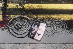 Birth of Venus in Camden