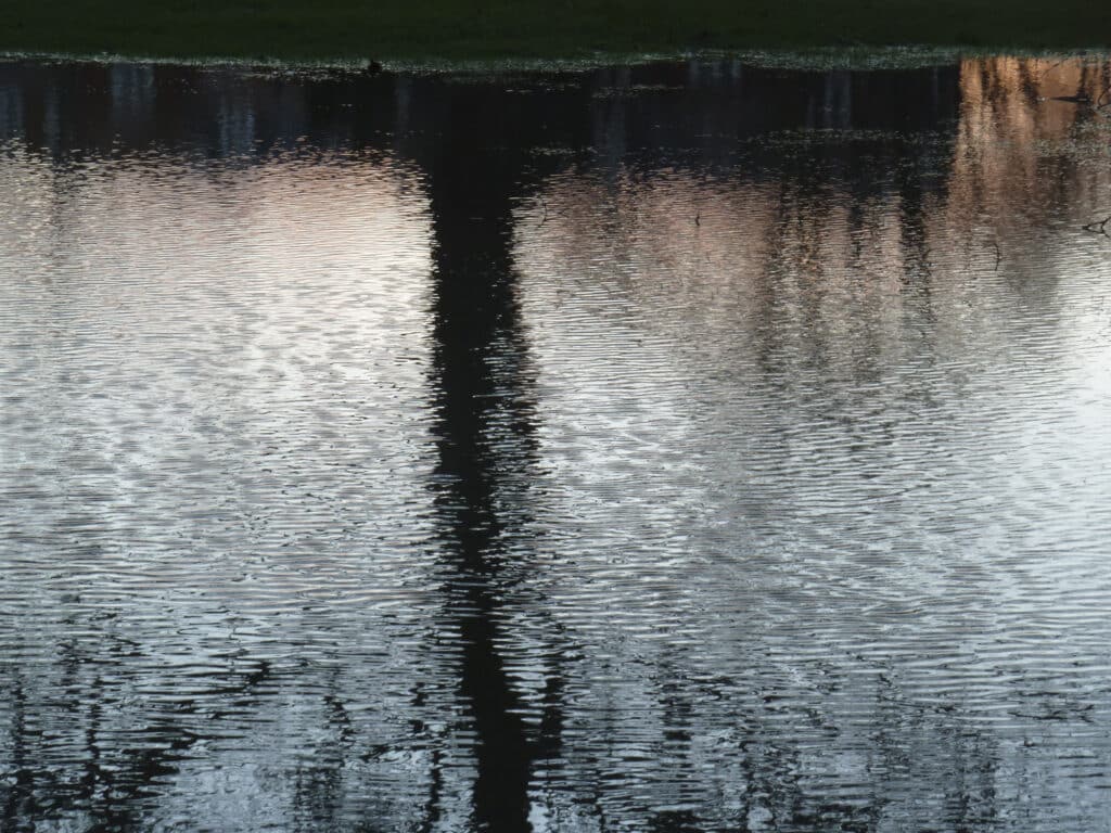 LW trunk reflection