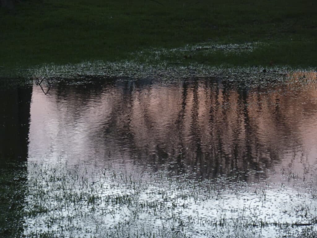 LW reflection at sunset