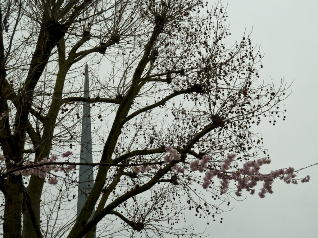 ma-1120200