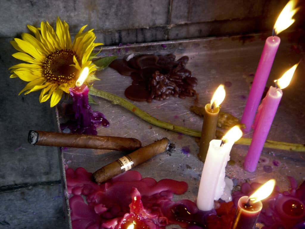 rincon still life