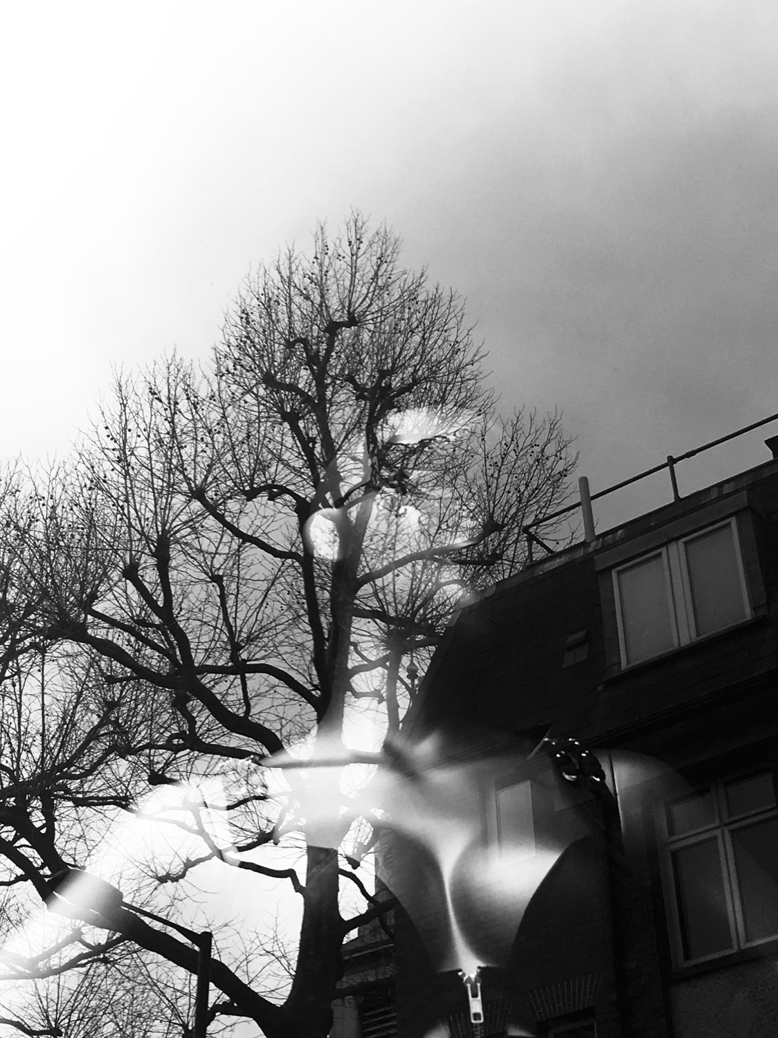 Mannequin and reflected London street