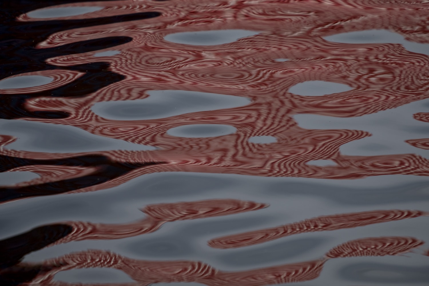 Reflection on water at Hyde Park