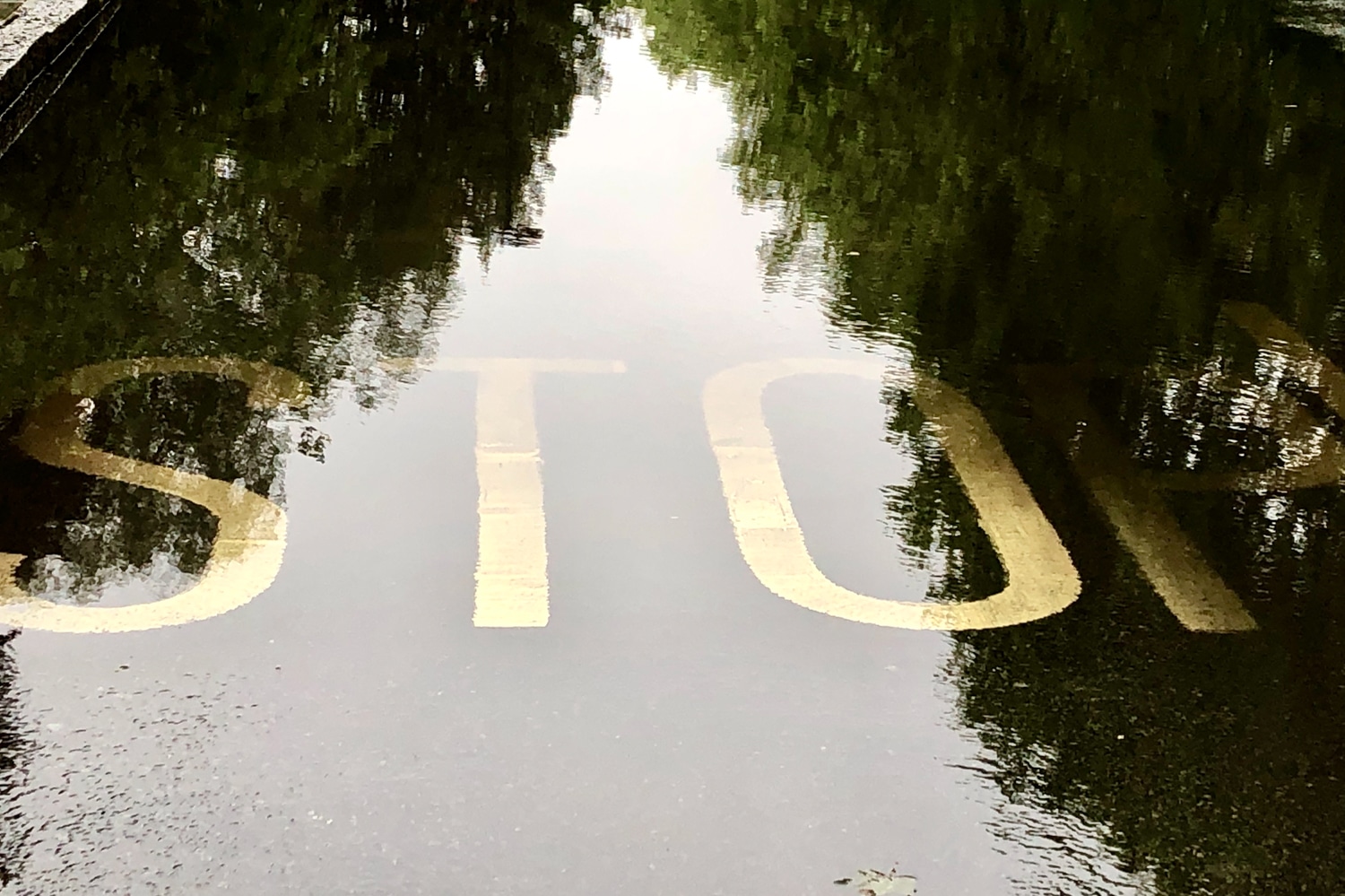 It's Raining/A Hard Rain's A-Gonna Fall - MISH AMINOFF